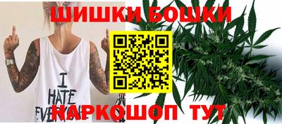 крисы Будённовск