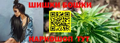 крисы Будённовск