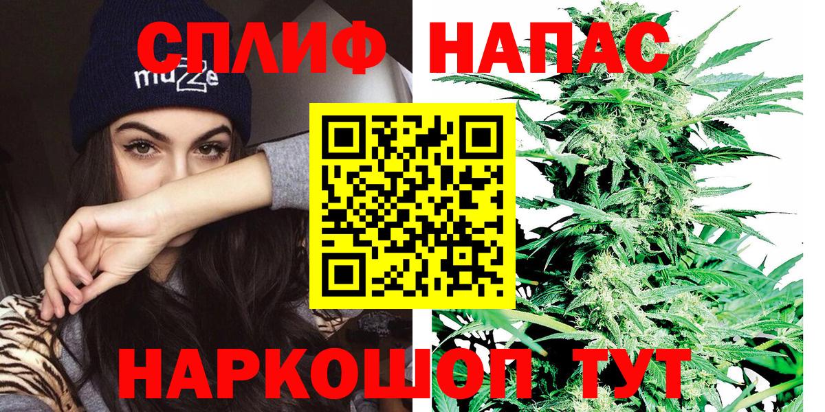 Конопля гибрид  Канабис план  Марихуана марихуана  Вход с VPN  Черкесск  Шишки марихуана сатива 